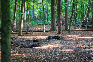 Wald - Kinder spielen auf einem Baumstumpf